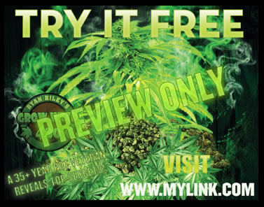 Discover the best hydroponic nutrients for growing your very own dank marijuana weed.
