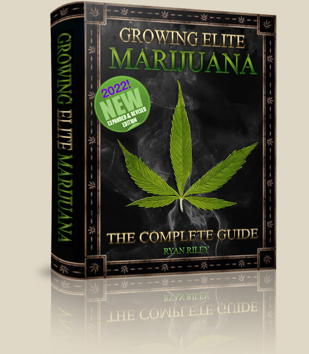 how to grow weed